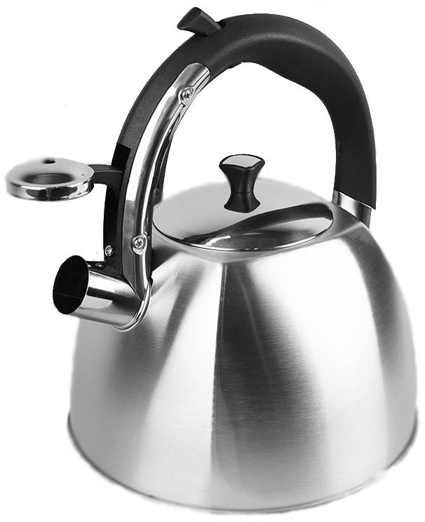 Чайник MAESTRO металевий 2.2 л (4820177148369)